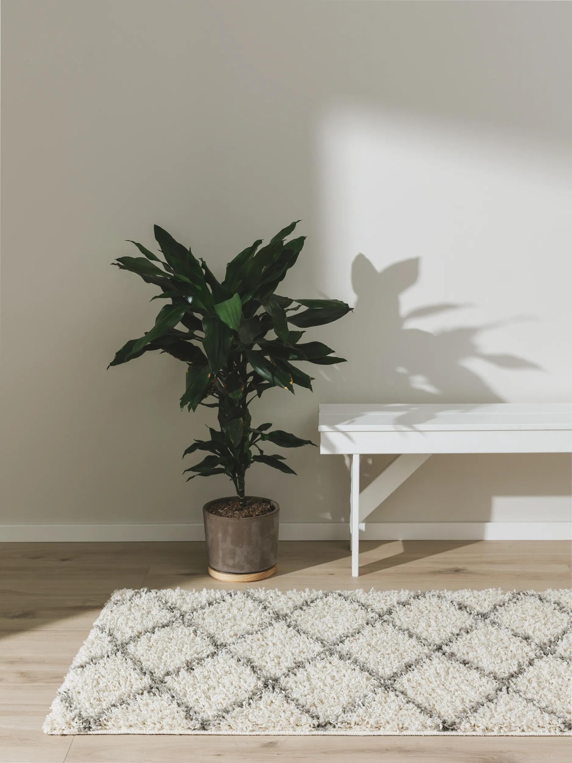benuta-basic-teppich-soho-cream-80x300-cm-polypropylen-pflegeleicht-f-r-wohnzimm image 1
