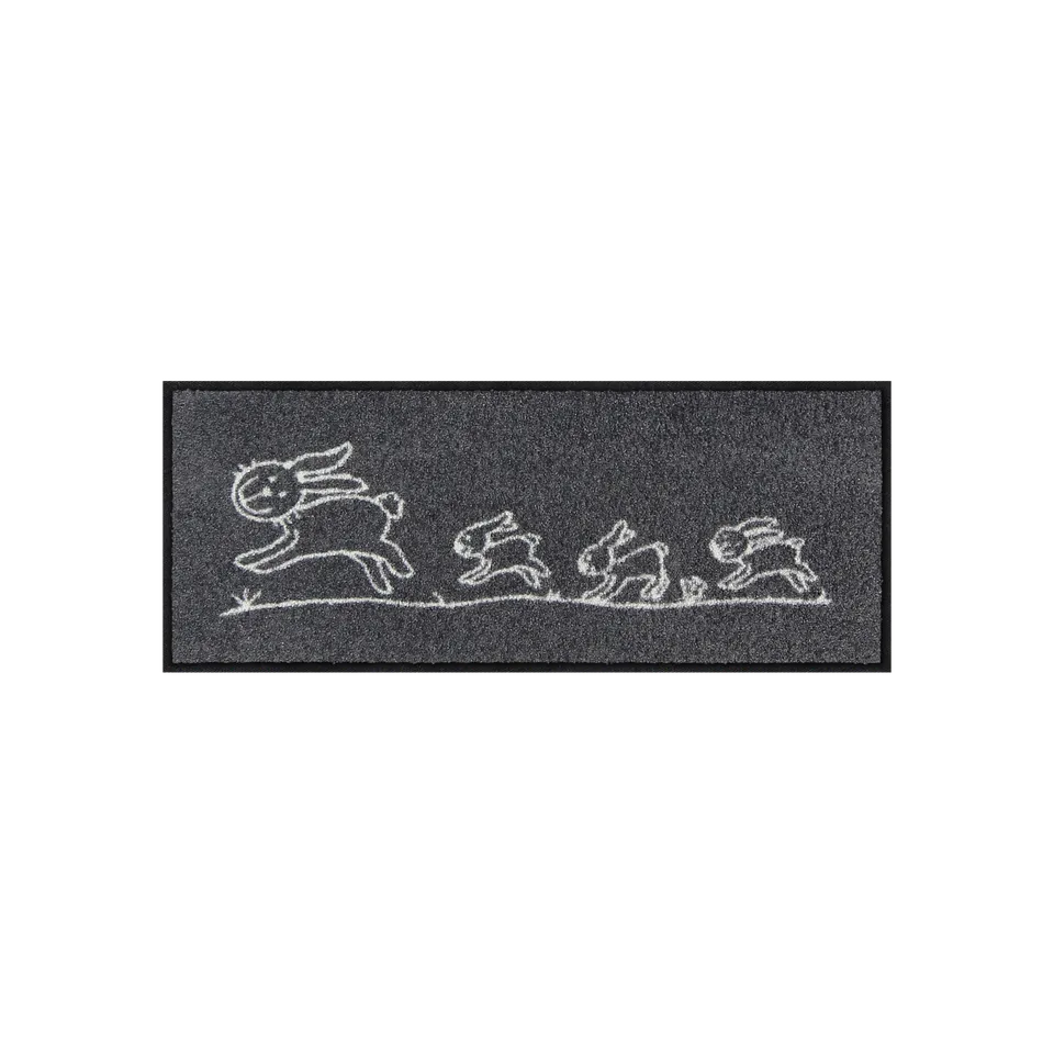 salonloewe-hereingehoppelt-minimatte-30-x-75-cm-kleine-bedruckte-fu-matte image 1