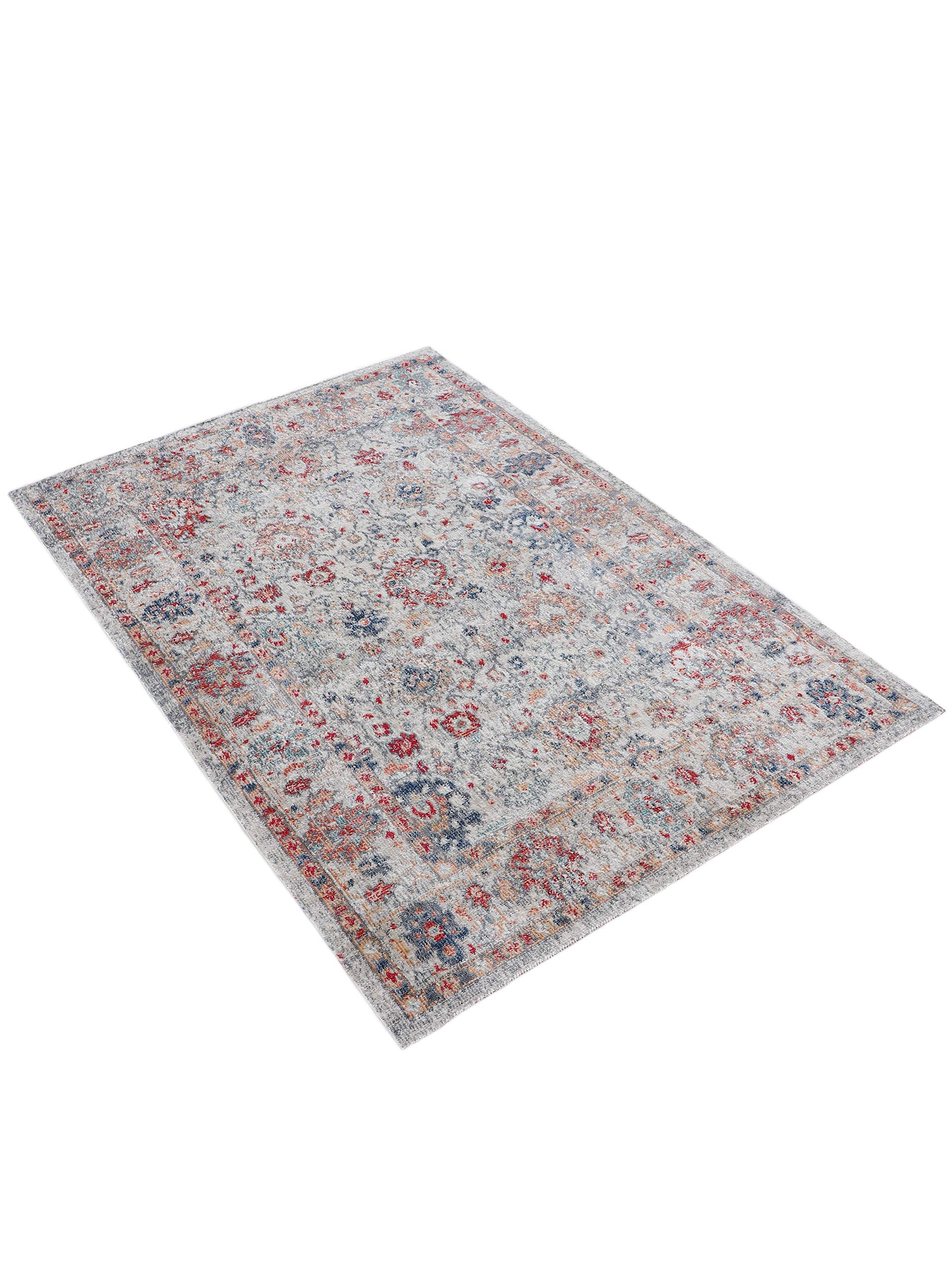 carpetfine-flachgewebeteppich-flori-hellgrau-120x170-cm-moderner-vintage-look-te image 2