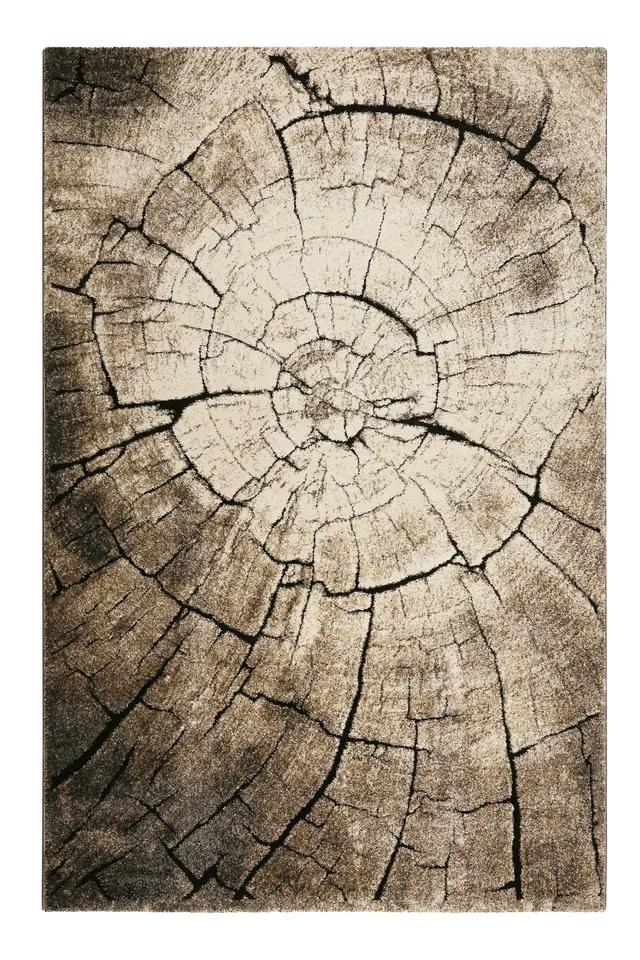 weconhome-kurzflor-teppich-wild-oak-holzoptik-braun-gewebt-50-rabatt image 1