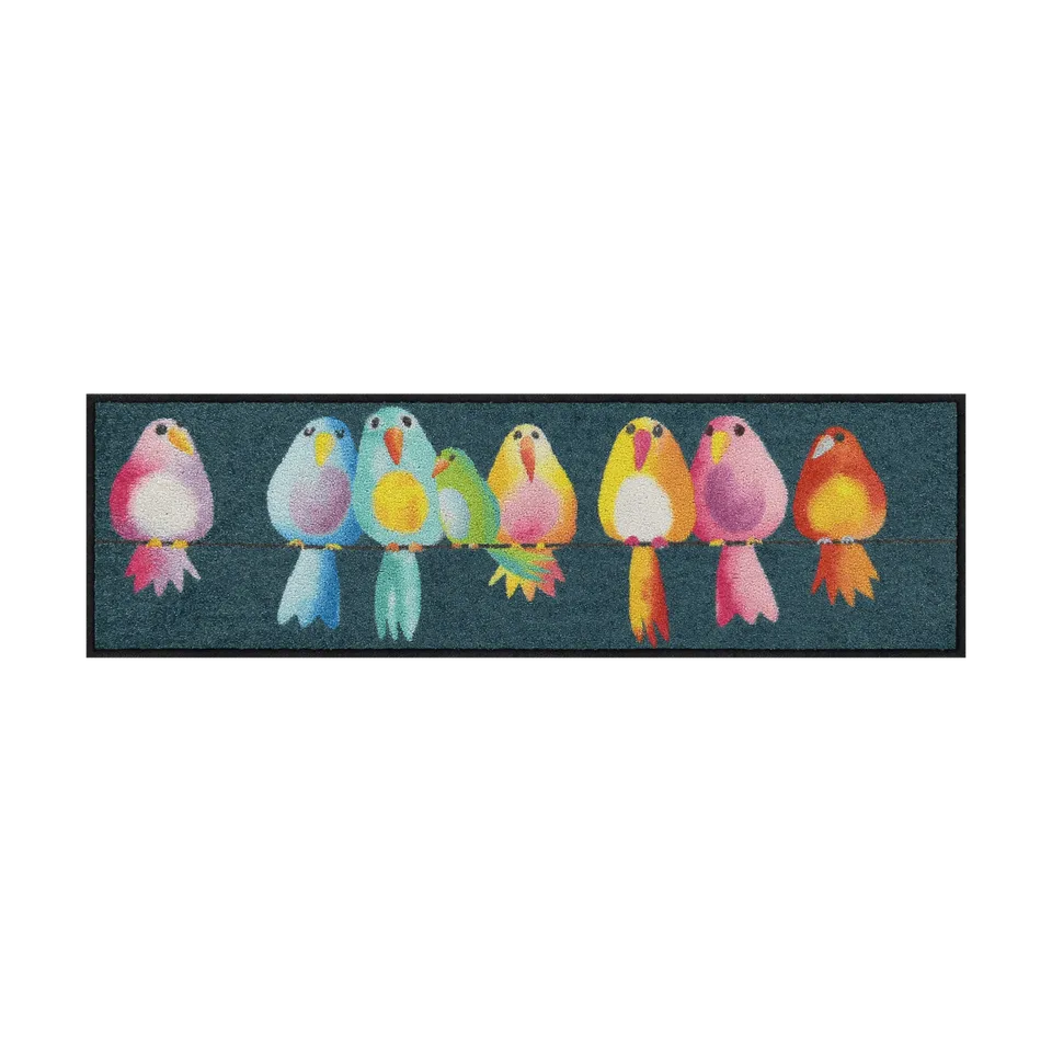 salonloewe-fussmatte-rainbow-birds-eingangsmatte-30-x-100-cm-bunte-vogel-fu-matt image 1