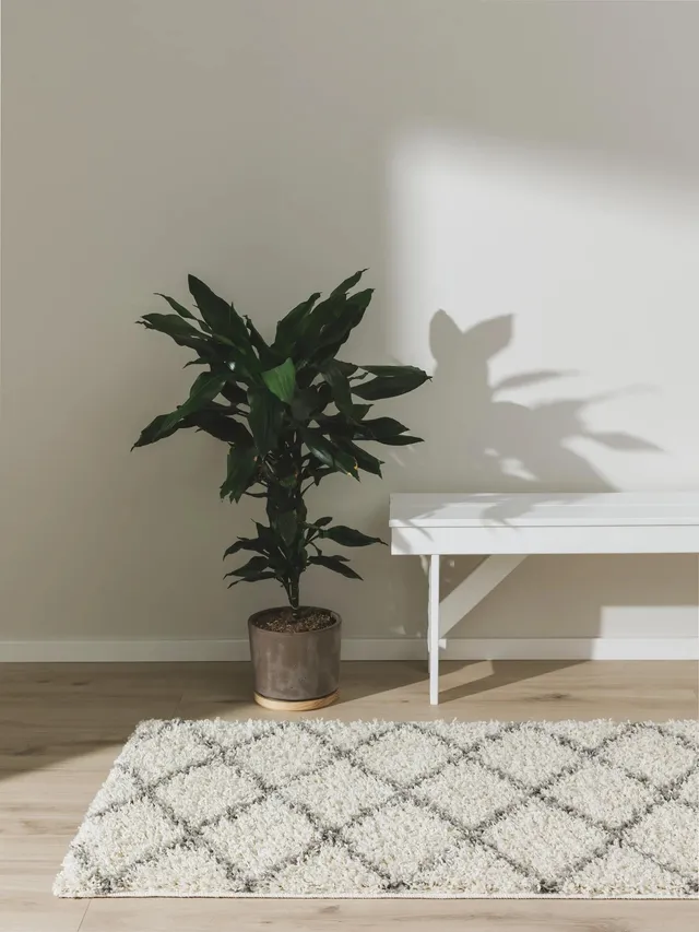 benuta-basic-teppich-soho-cream-80x300-cm-polypropylen-pflegeleicht-f-r-wohnzimm image 1