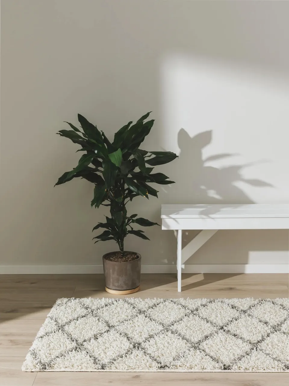 benuta-basic-teppich-soho-cream-80x300-cm-polypropylen-pflegeleicht-f-r-wohnzimm image 1