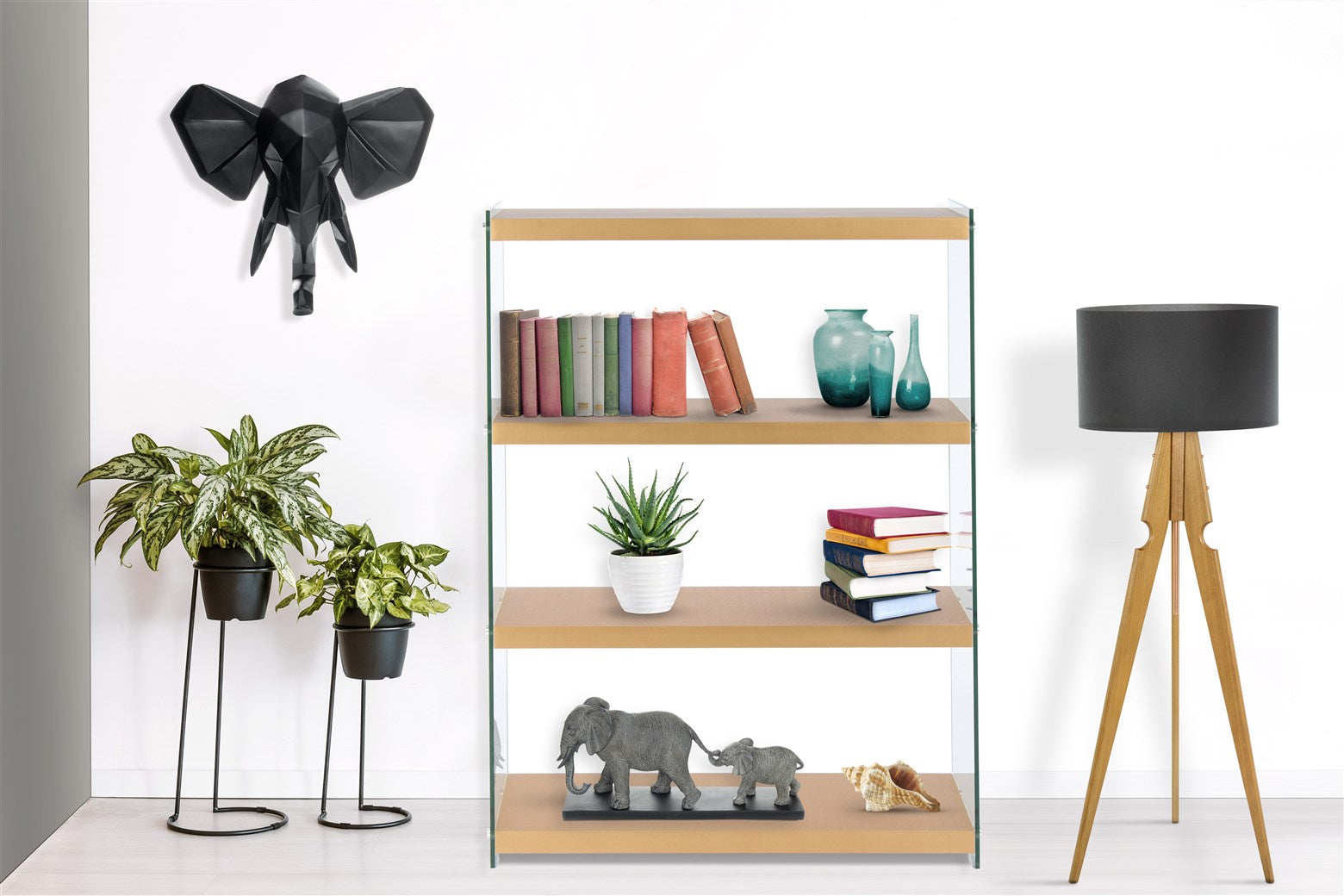 kayoom-regal-elementary-225-modernes-regal-mit-glas-seitenw-nden-und-unifarbenen image 8