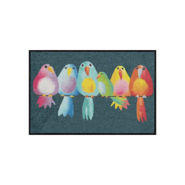 salonloewe-fussmatte-rainbow-birds-eingangsmatte-50-x-75-cm-bunte-vogel-fu-matte image 1