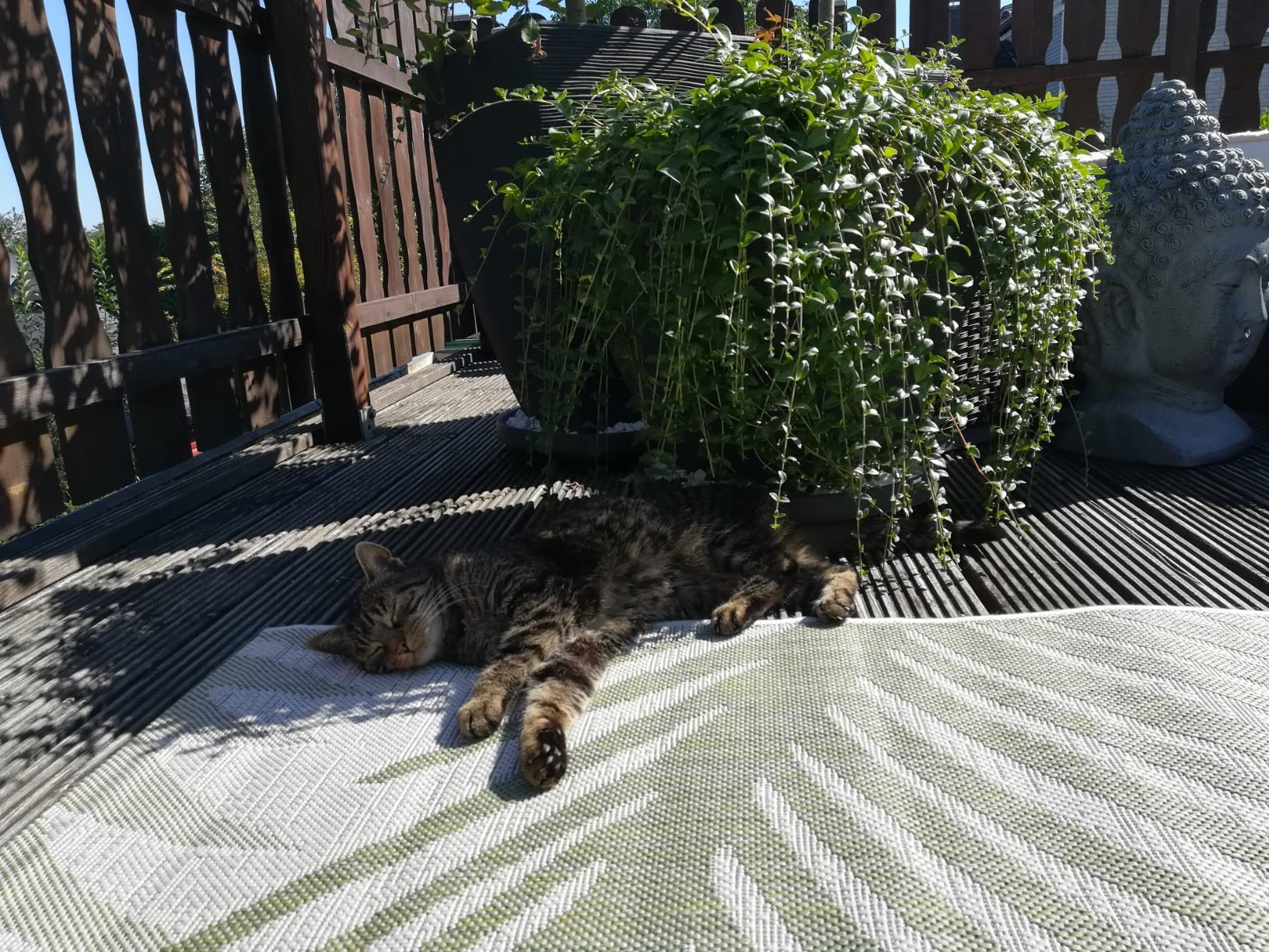 Toller Outdoor-Teppich