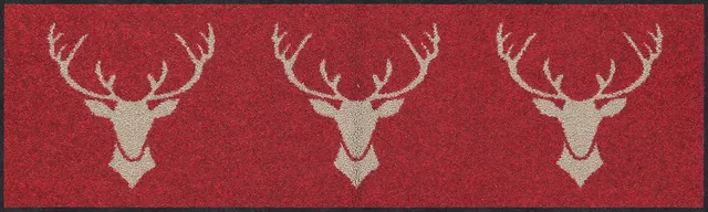 salonloewe-franz-trio-rot-minimatte-30-x-100-cm-rote-fu-matte-im-trio-design image 1