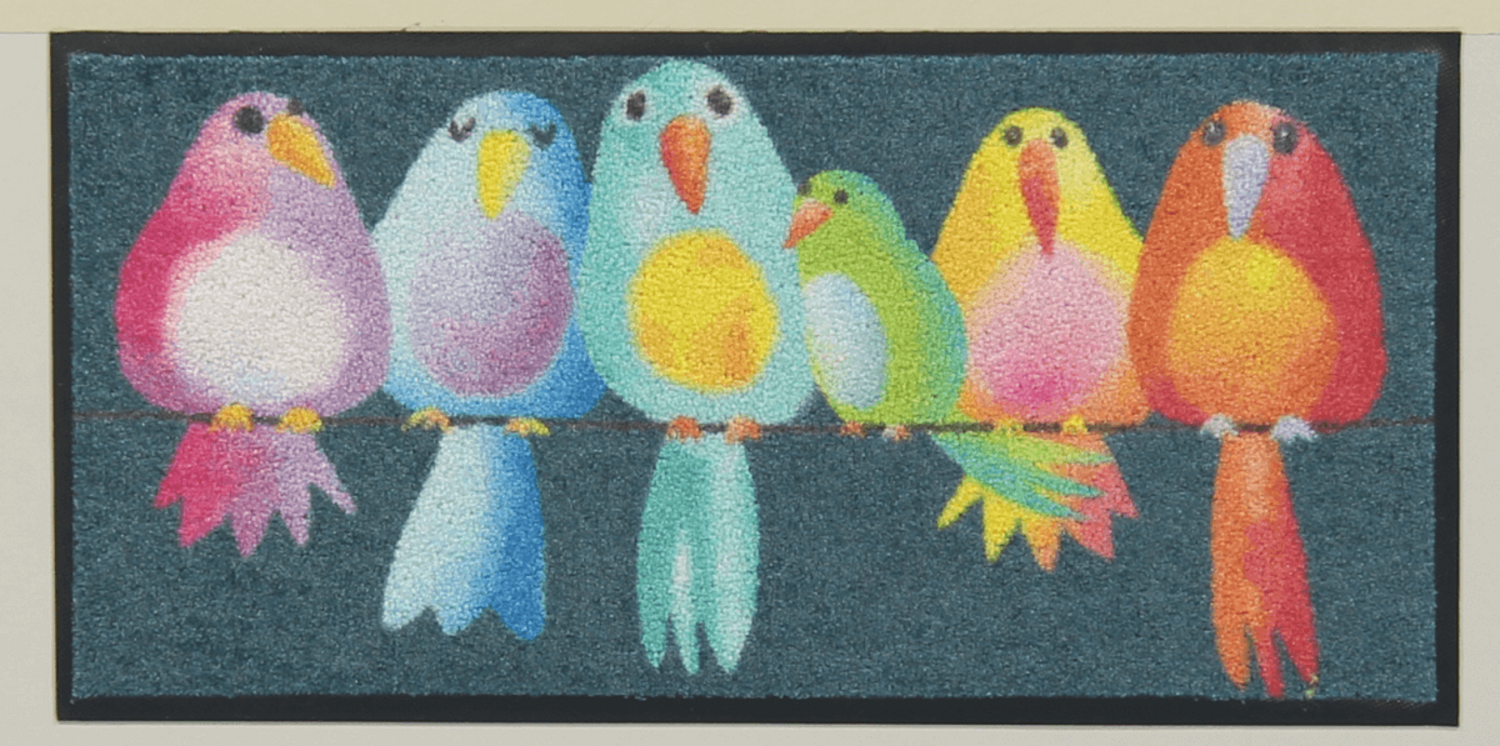 salonloewe-fussmatte-rainbow-birds-eingangsmatte-30-x-60-cm-bunte-motivmatte image 1
