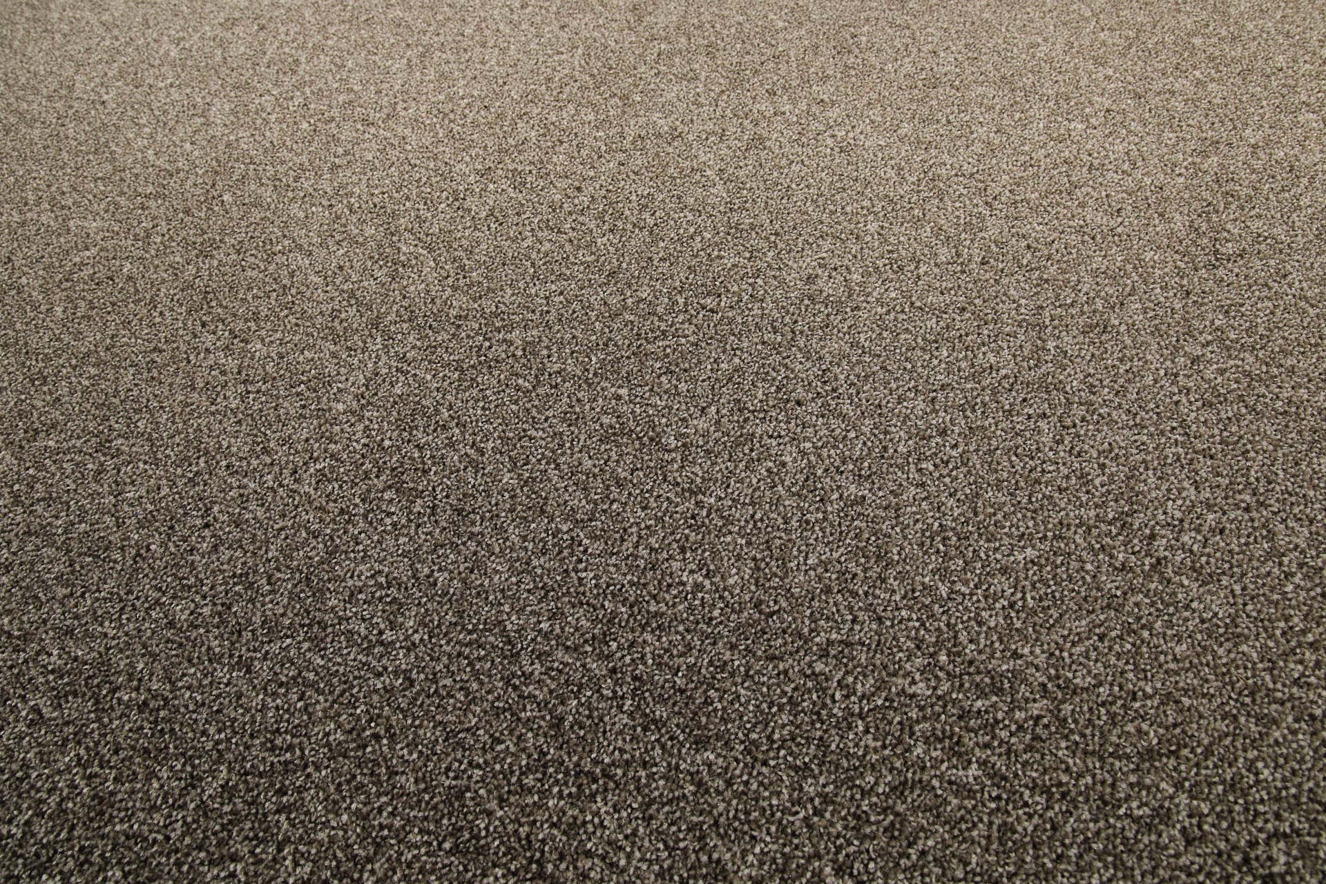 weconhome-tim-kurzflor-teppich-sandbeige-meliert-getuftet image 5