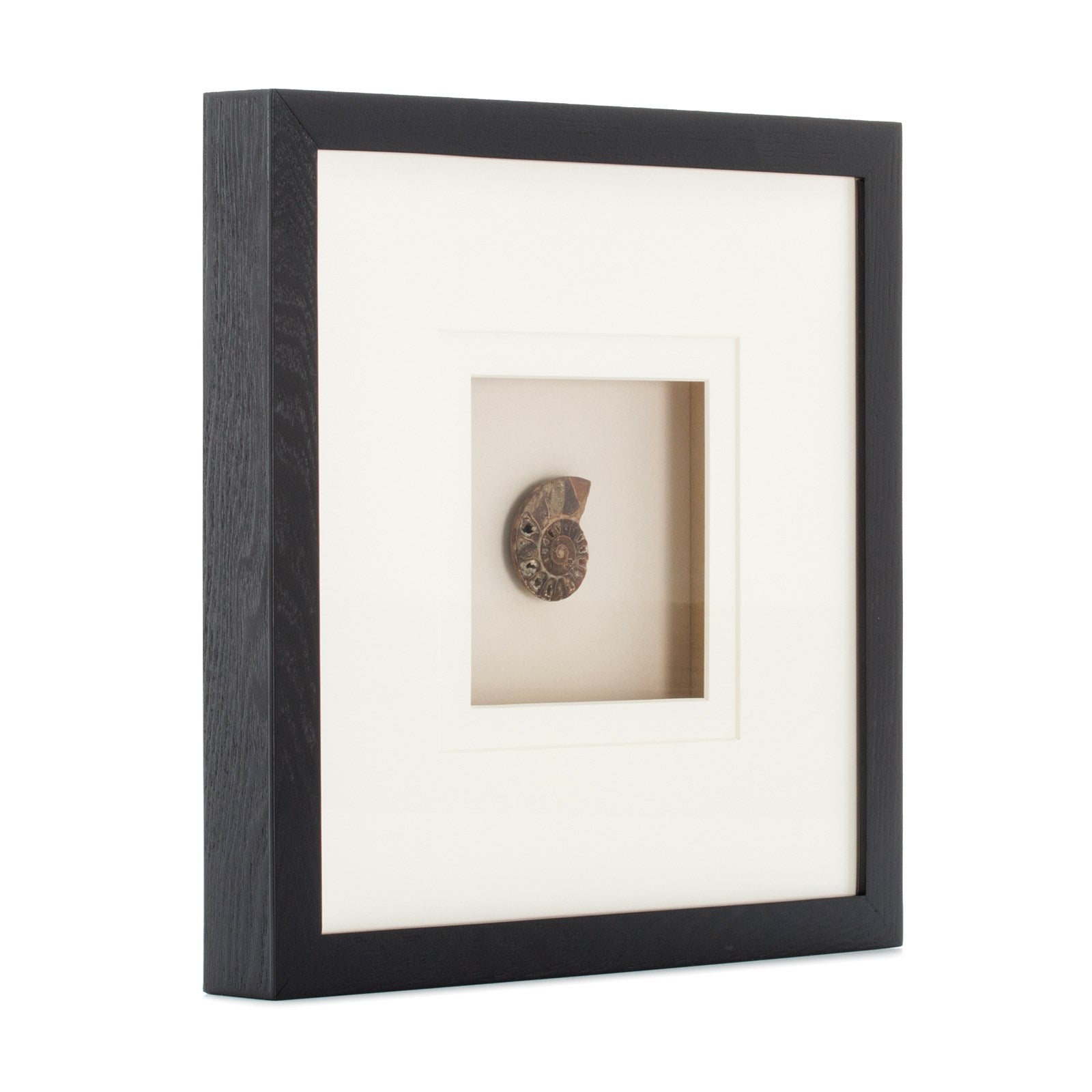 kayoom-bilder-edelsteinkunst-force-v-40-cm-x-40-cm-fossil-wandbild-im-holzrahmen image 2