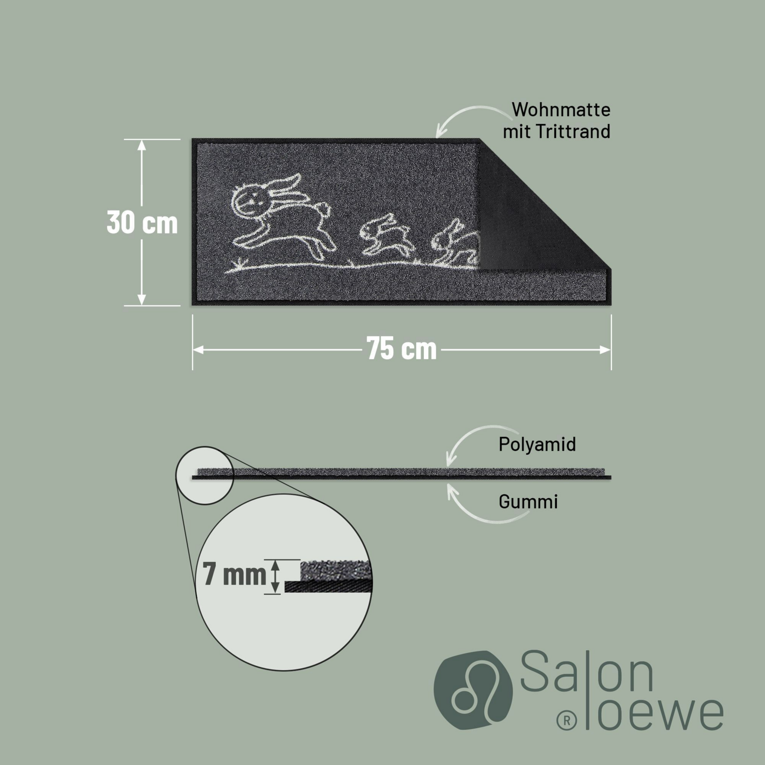 salonloewe-hereingehoppelt-minimatte-30-x-75-cm-kleine-bedruckte-fu-matte image 3