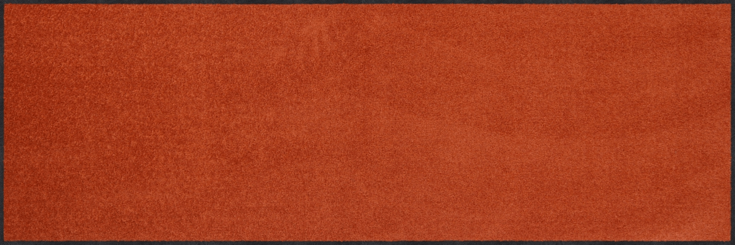 salonloewe-cayenne-halb-rund-60-x-180-cm-halbrunde-polyamid-fu-matte-in-terrakot image 1