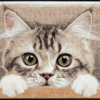 salonloewe-noi-due-teppich-75-x-120-cm-bunte-katzen-fu-matte-mit-sonnenmotiv image 7