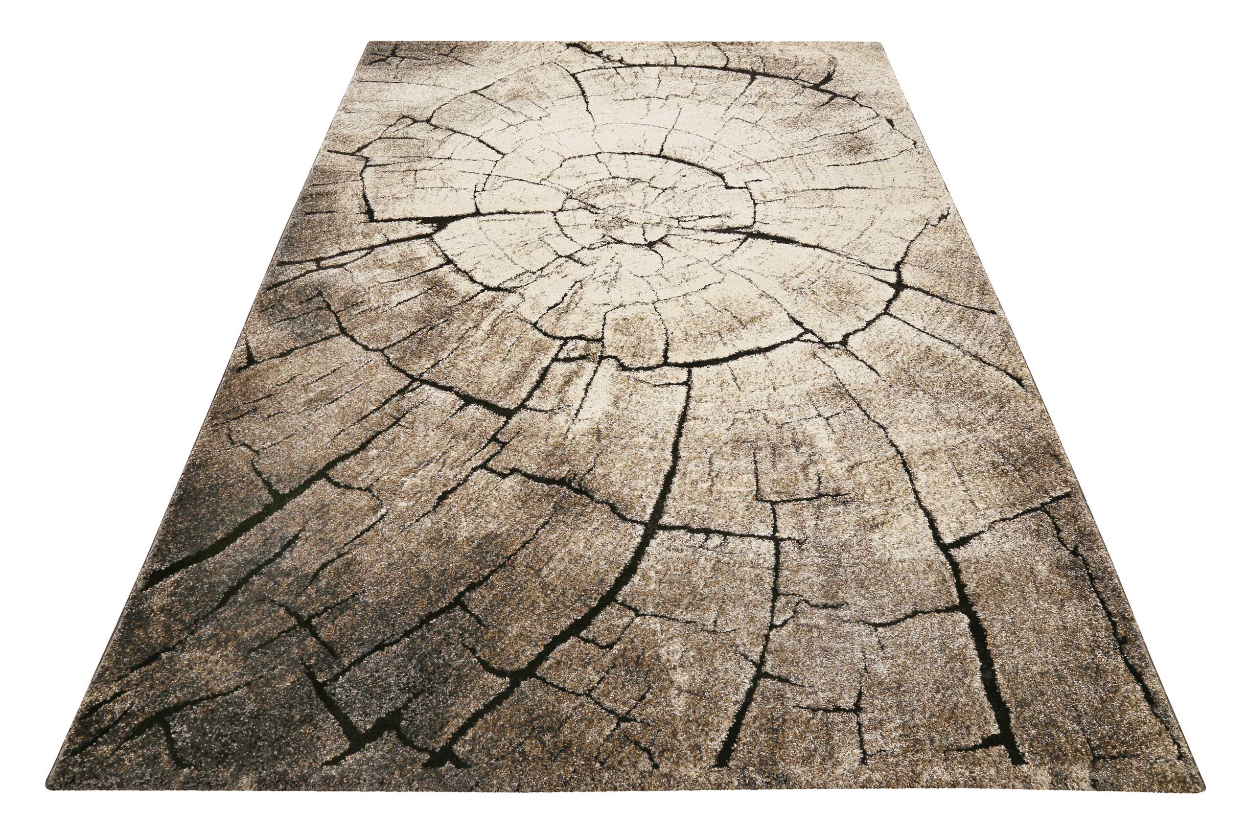 weconhome-kurzflor-teppich-wild-oak-holzoptik-braun-gewebt-50-rabatt image 2
