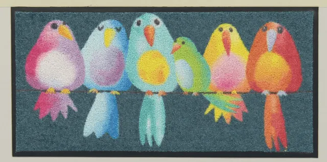 salonloewe-fussmatte-rainbow-birds-eingangsmatte-30-x-60-cm-bunte-motivmatte image 1
