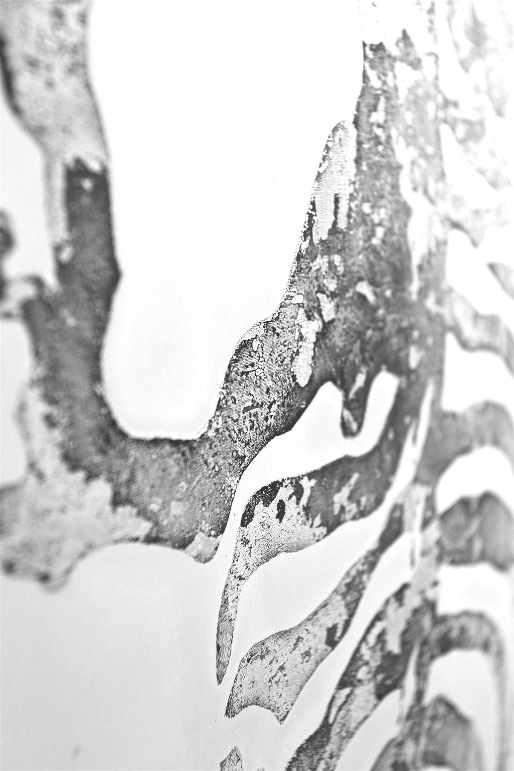 kayoom-l-wandbild-serengeti-50-cm-x-150-cm-auf-leinwand image 3