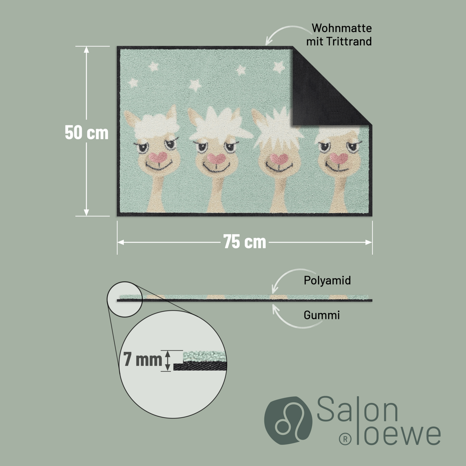 salonloewe-perfect-hair-day-eingangsmatte-50-x-75-cm image 4