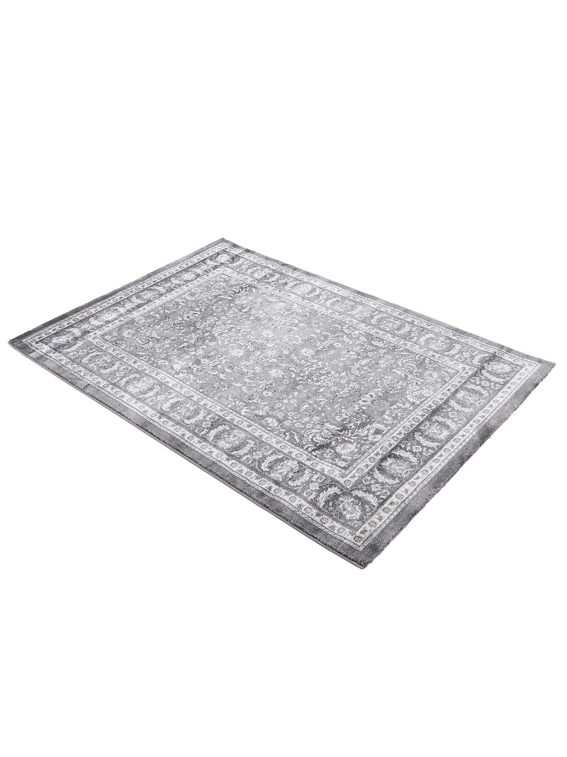 carpetfine-shola-teppich-grau-200x290-cm-gro-er-vintage-teppich-f-r-wohn-und-sch image 2