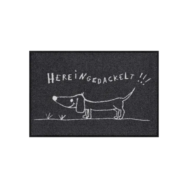 salonloewe-hereingedackelt-eingangsmatte-50-x-75-cm-humorvolle-fu-matte-mit-dack image 1