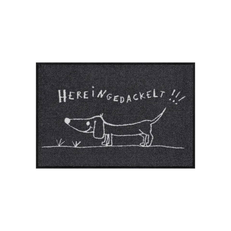 salonloewe-hereingedackelt-eingangsmatte-50-x-75-cm-humorvolle-fu-matte-mit-dack image 1