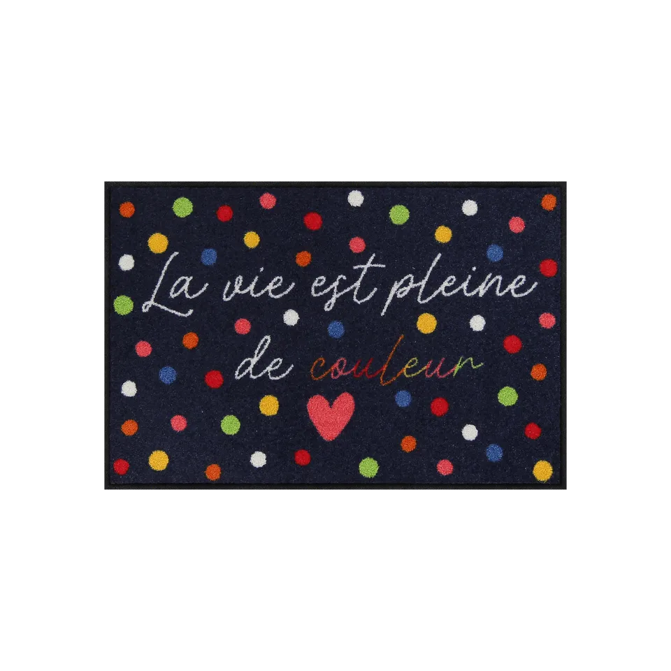 salonloewe-vie-color-e-eingangsmatte-50-x-75-cm-buntes-design-waschbar image 1