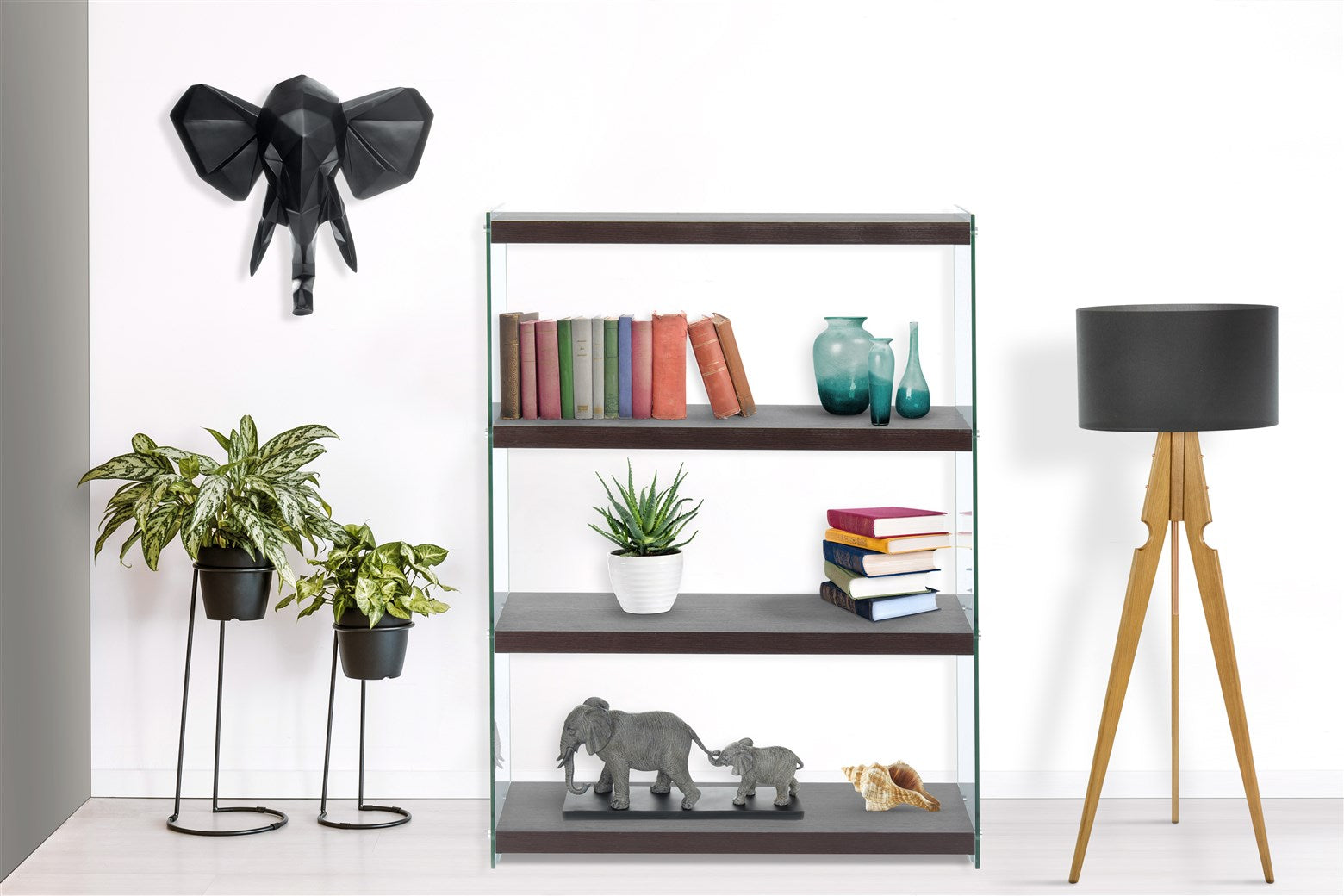 kayoom-regal-elementary-225-modernes-regal-mit-glas-seitenw-nden-und-unifarbenen image 2