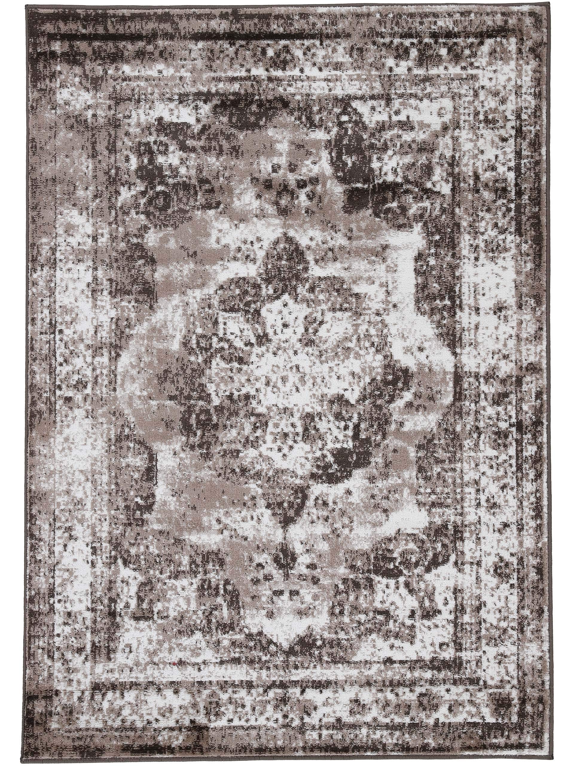 carpetfine-vintage-teppich-sol-braun-240x340-cm-xxl-polypropylen image 1
