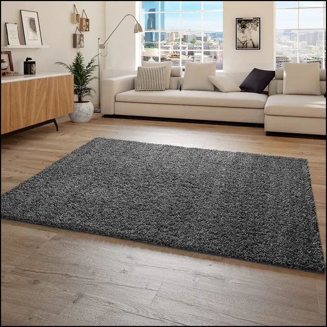 paco-home-shaggy-plus-hochflor-teppich-60x100-cm-anthrazit image 1