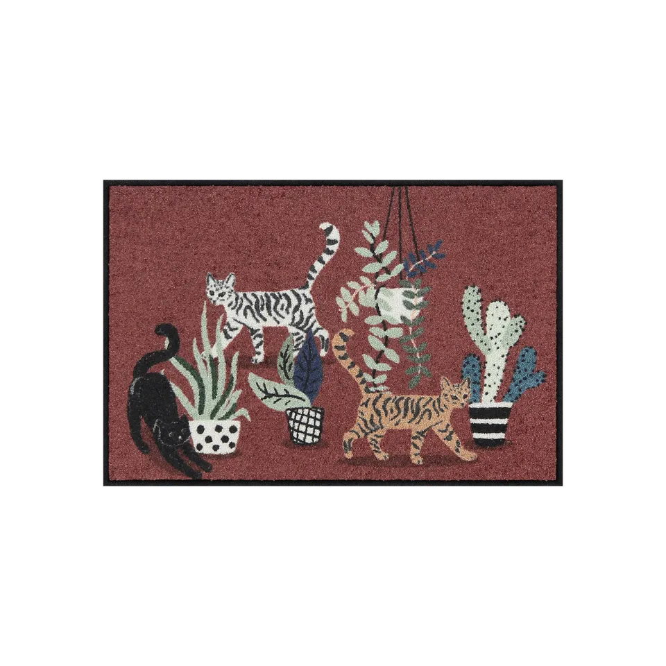salonloewe-home-alone-eingangsmatte-50-x-75-cm-fu-matte-mit-katzenmotiv-erdiger- image 1