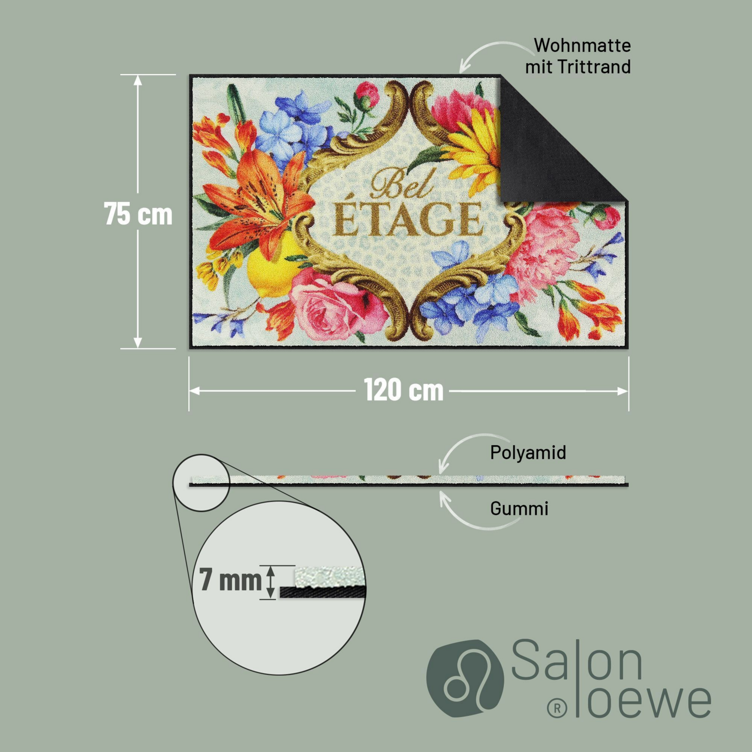 salonloewe-bel-tage-teppich-eingangsmatte-75-x-120-cm-elegante-eingangsmatte-f-r image 8