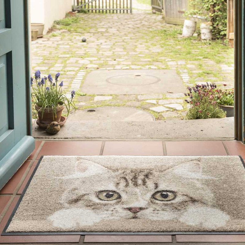 salonloewe-nosy-cat-eingangsmatte-50-x-75-cm-katzendesign-beige-braun image 2