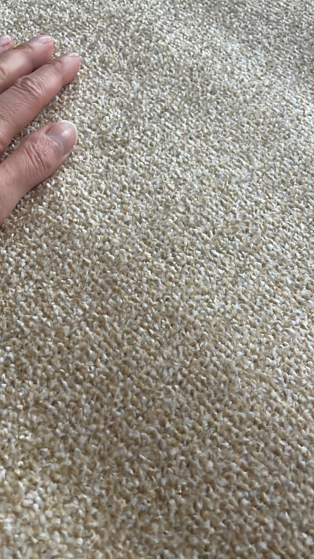 Schön und günstig