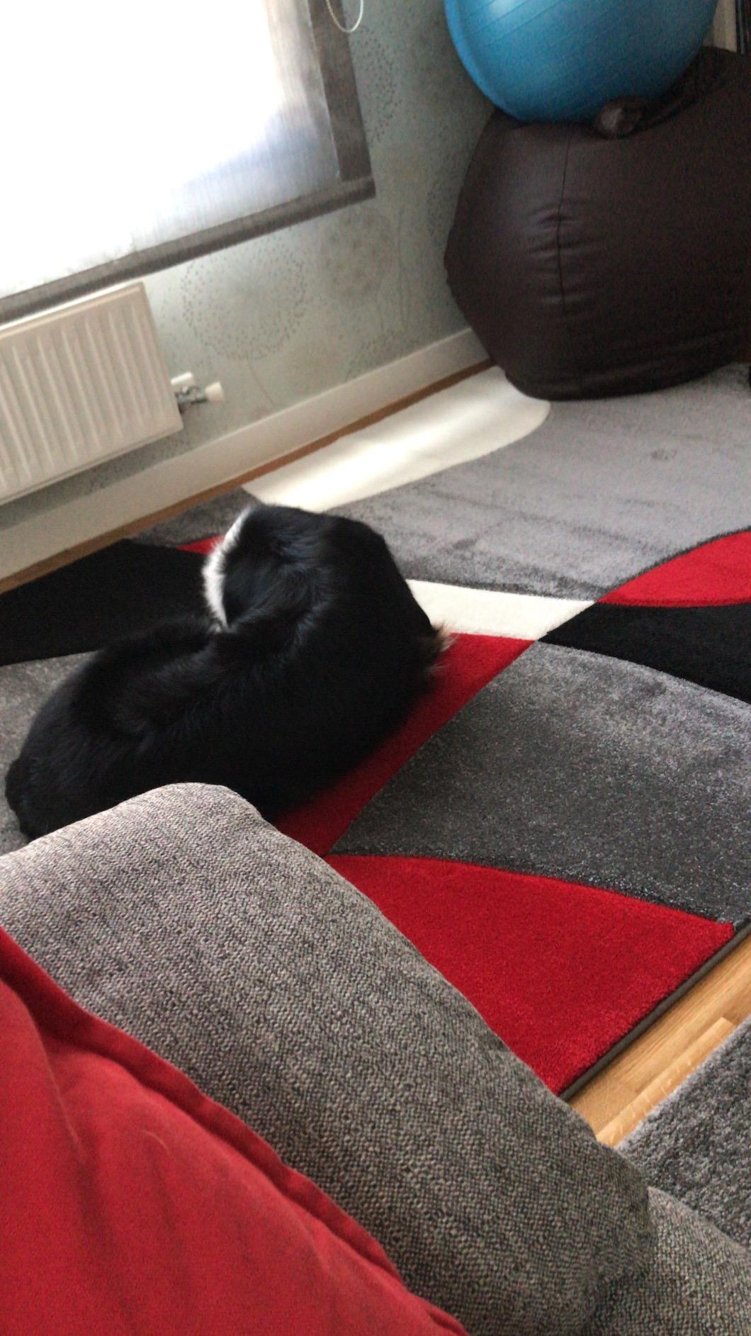 Schöner Teppich, aber dünn