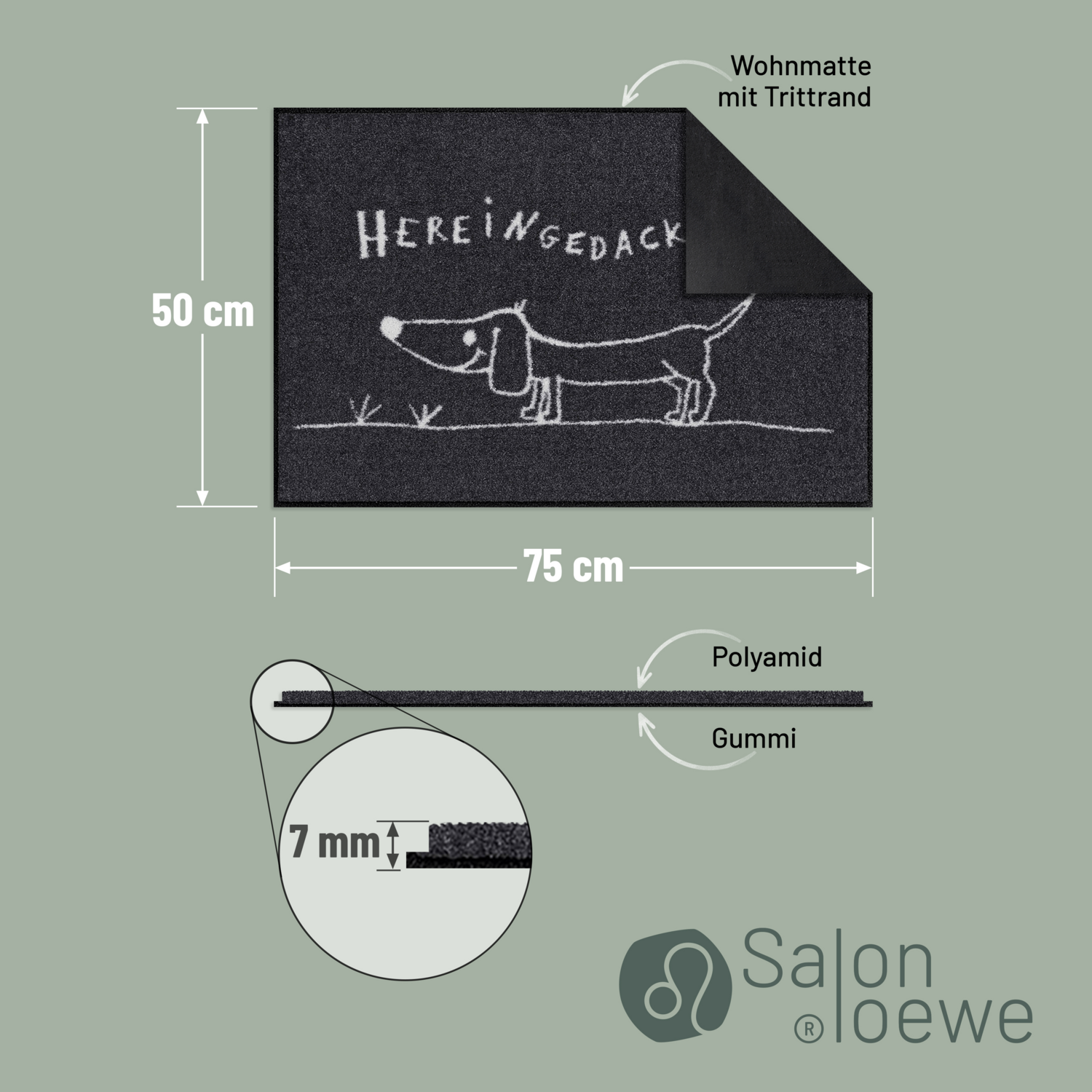 salonloewe-hereingedackelt-eingangsmatte-50-x-75-cm-humorvolle-fu-matte-mit-dack image 4