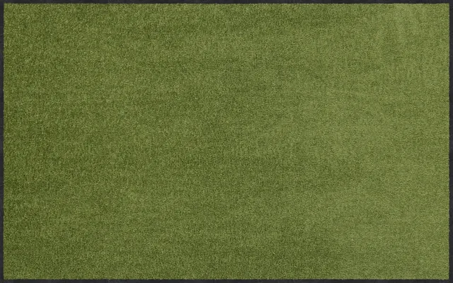 salonloewe-salbei-l-ufer-75-x-120-cm-minimalistisches-design-in-gr-n image 1