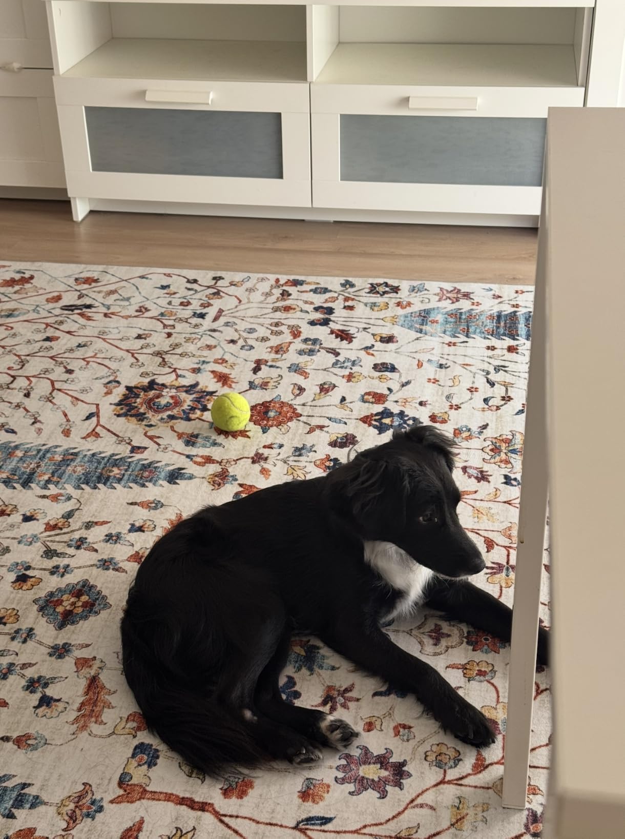 Perfekt fürs Kinderzimmer