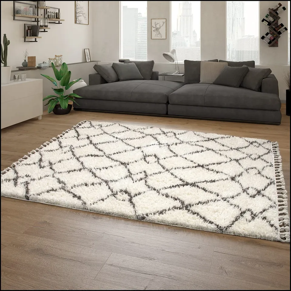 paco-home-shaggy-skandi-langflor-teppich-120x170-cm-creme-mit-fransen image 1