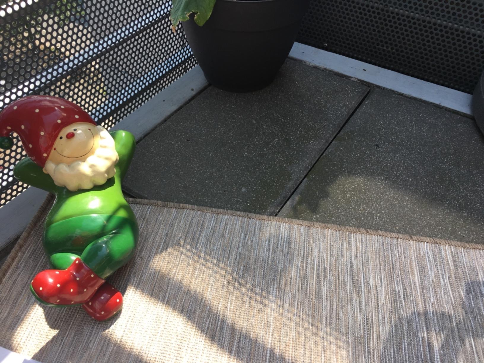 Top für den Preis