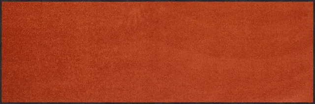 salonloewe-cayenne-halb-rund-60-x-180-cm-halbrunde-polyamid-fu-matte-in-terrakot image 1
