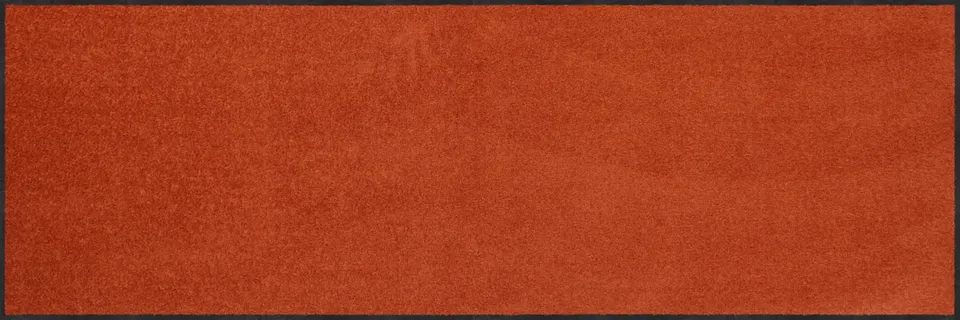 salonloewe-cayenne-halb-rund-60-x-180-cm-halbrunde-polyamid-fu-matte-in-terrakot image 1