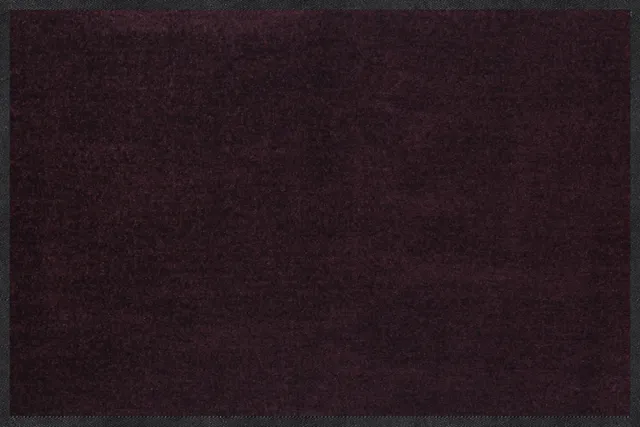 salonloewe-pflaume-halbrund-eingangsmatte-40-x-60-cm image 1