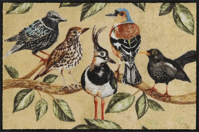 salonloewe-bird-song-eingangsmatte-50-x-75-cm-vogel-motiv-aus-polyamid image 1