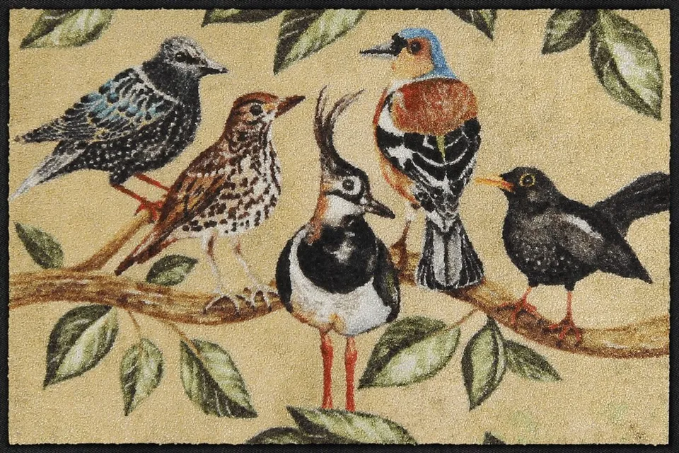 salonloewe-bird-song-eingangsmatte-50-x-75-cm-vogel-motiv-aus-polyamid image 1