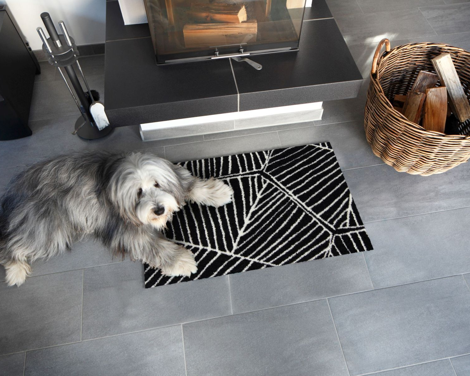 salonloewe-anders-black-white-eingangsmatte-45-x-70-cm image 2