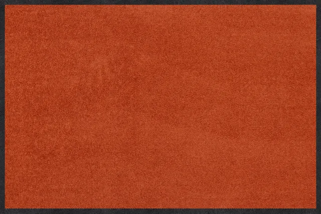 salonloewe-cayenne-halb-rund-40-x-60-cm image 1