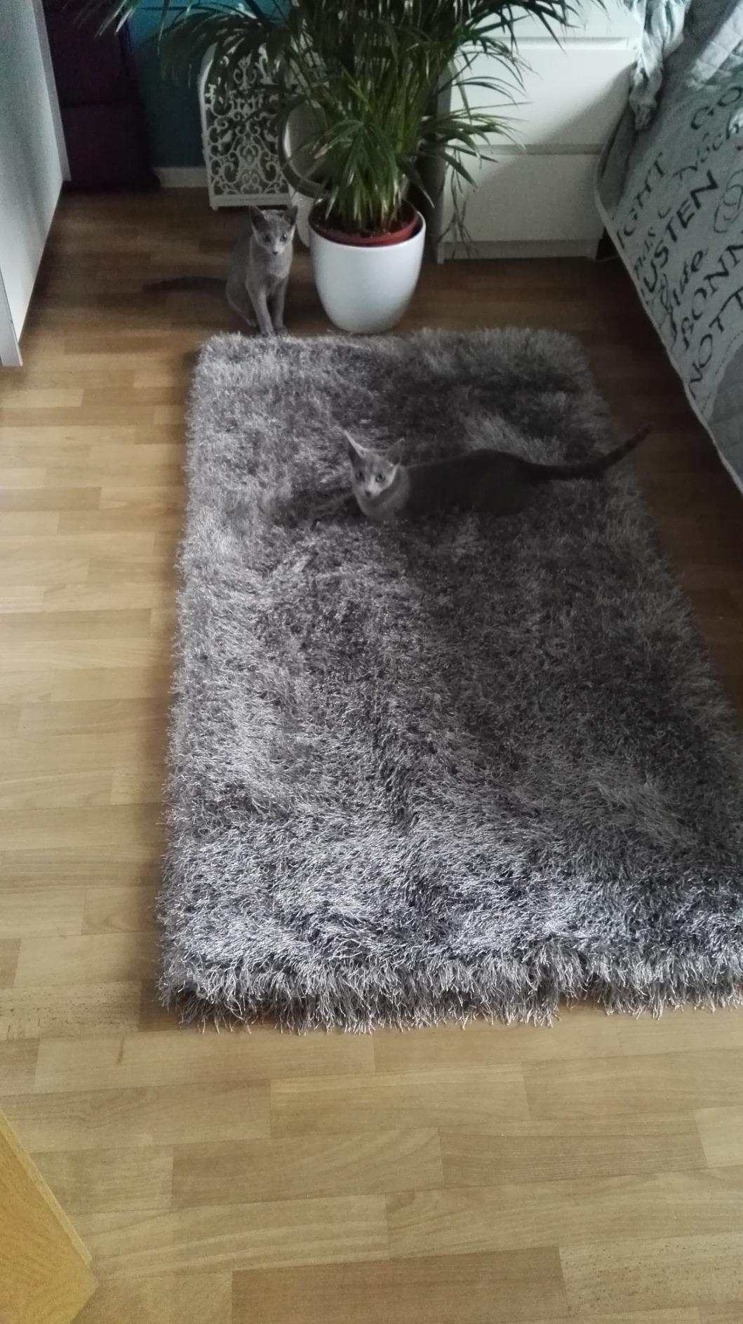 Einfach schön