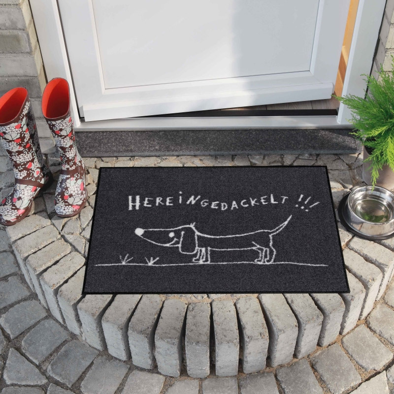 salonloewe-hereingedackelt-eingangsmatte-50-x-75-cm-humorvolle-fu-matte-mit-dack image 2