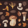 salonloewe-namaste-ornament-eingangsmatte-50-x-75-cm image 8