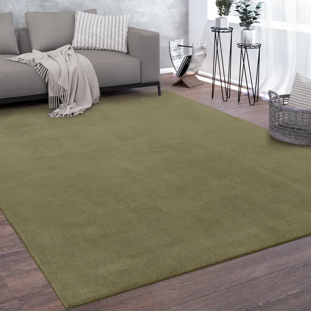 paco-home-wohnzimmerteppich-kurzflor-240x340-cm-gr-n-weich-rutschfest-waschbar-1 image 1
