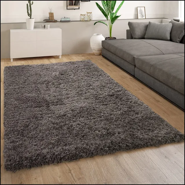 paco-home-shaggy-plus-hochflor-teppich-80x150-cm-anthrazit image 1
